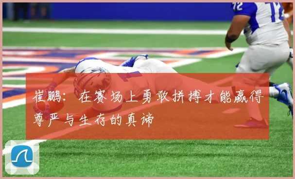 崔鹏：在赛场上勇敢拼搏才能赢得尊严与生存的真谛