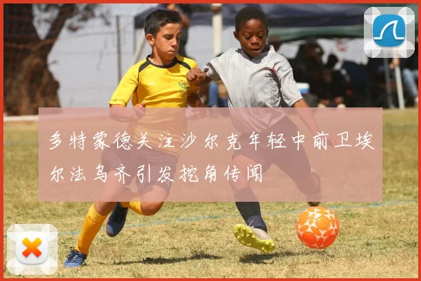 多特蒙德关注沙尔克年轻中前卫埃尔法乌齐引发挖角传闻