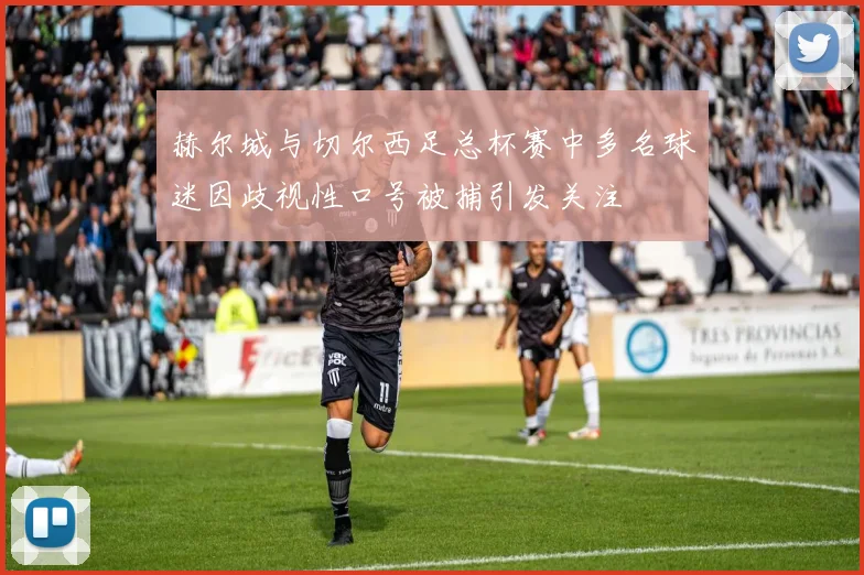 赫尔城与切尔西足总杯赛中多名球迷因歧视性口号被捕引发关注
