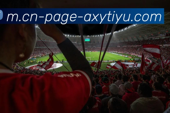 爱游戏发展历程